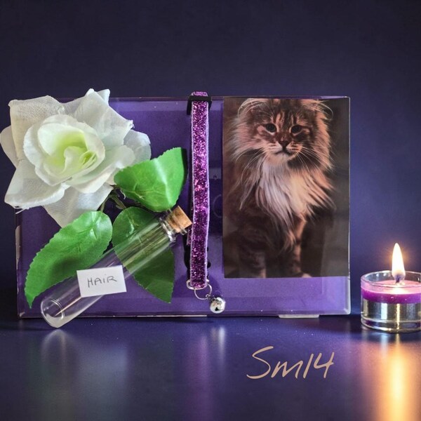 Product 39 - [PRODUCT_NAME]