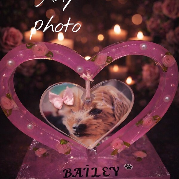 Product 44 - [PRODUCT_NAME]