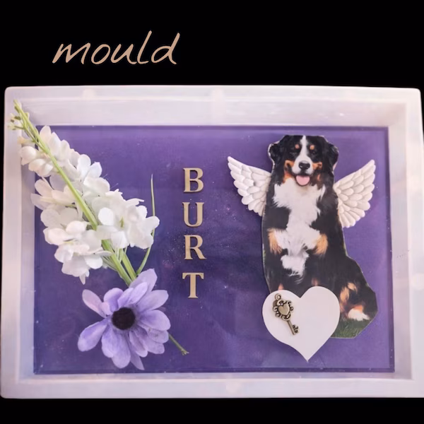 Product 47 - [PRODUCT_NAME]